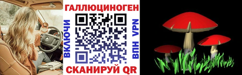 кракен как войти  Тетюши  Псилоцибиновые грибы ЛСД 